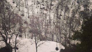 4月はまだ寒かったです…