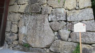 動かせなかったとは思えない