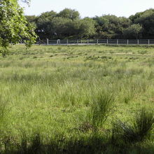 コネマラ国立公園