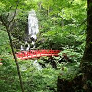 神社の奥には…