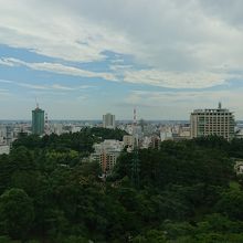 県庁方面の展望