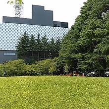 奥の建物がNHKです