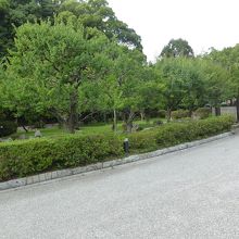 ここで開催されます