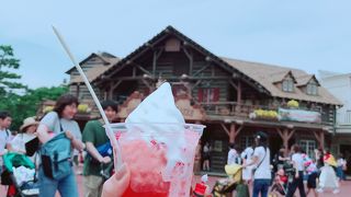 シェープドアイスをいただきます