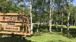 製造工程の見学もできる