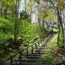駐車場からのアプローチ