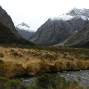 流れ落ちる滝、苔むした雨林、そびえる雪山