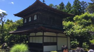 屋根の反り返りの様子が素晴らしかった