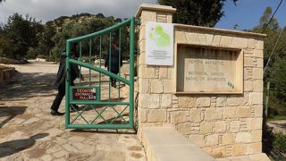 植物園になっている