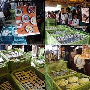 波佐見陶器まつり