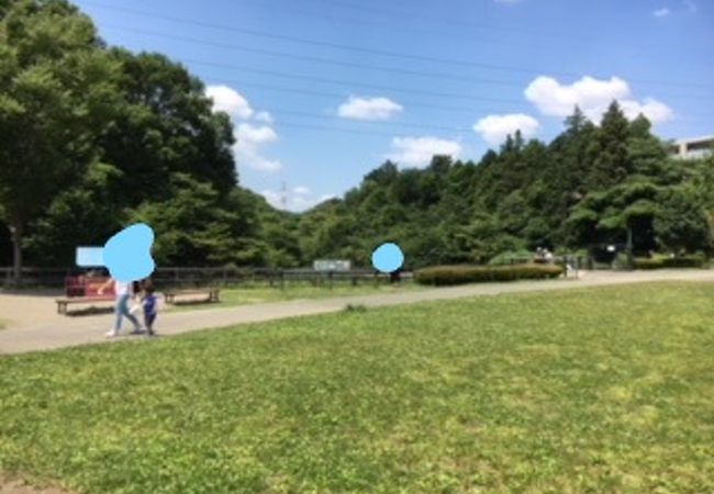 よく整備された公園