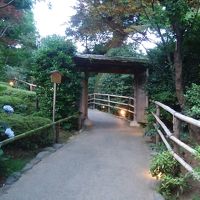 6月は庭園であじさいがさいていました。夜は蛍が楽しめる