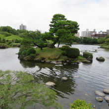 池の中を清掃作業中。。。