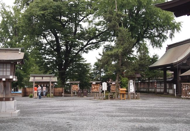 阿蘇神社 高砂の松 クチコミ アクセス 営業時間 阿蘇 フォートラベル 阿蘇神社 高砂の松 クチコミ アクセス 営業時間 阿蘇 フォートラベル