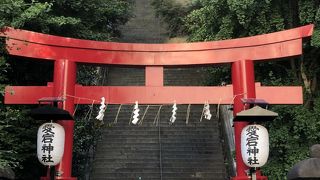 都会にいることを忘れてしまう