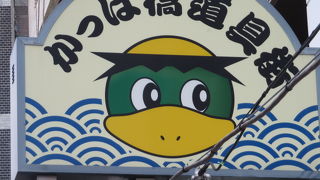 楽しく散策ができました