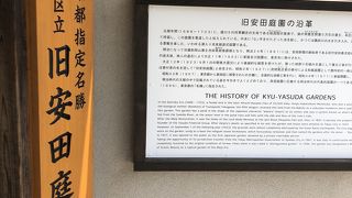 両国からすぐ。