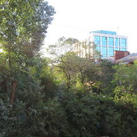 部屋からの眺め