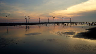 潮汐表を参考にして訪れた方が良いです！