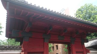 東大のシンボルの一つ