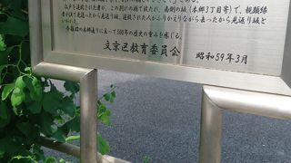 今では坂と言えるほどではありません