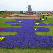 ムスカリとのコラボ