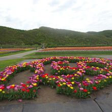 アート花壇。北海道命名150年ロゴマークです