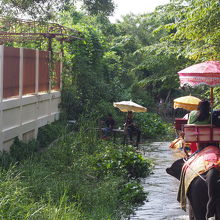 ゾウ乗りの様子