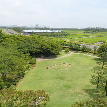 展望台からの景色