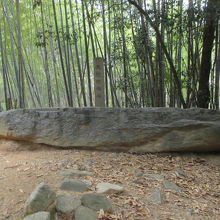 頑張って登って下さい