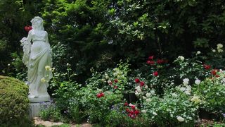 正に花に癒されるガーデンでした