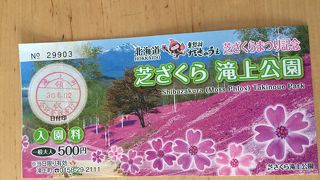 キレイでした！