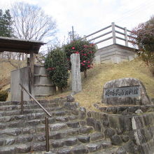 立派な字体です