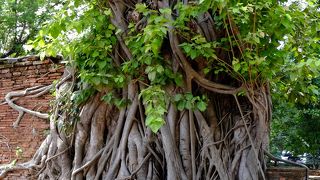 有名な頭部以外にも