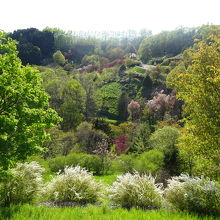 第二展望台からの景色