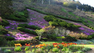クルマは便利なようで不便かも（北見フラワーパラダイス）