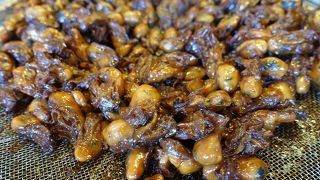 おいしい牡蠣の佃煮