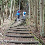 青山高原ハイキング