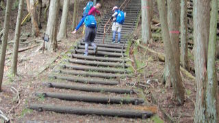 青山高原ハイキング