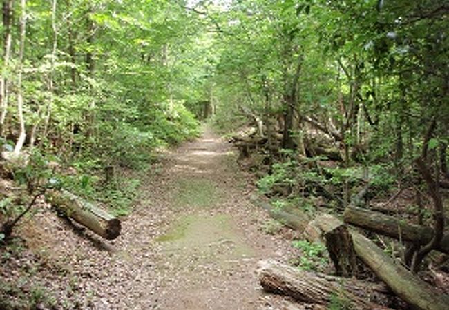 東青山四季の里