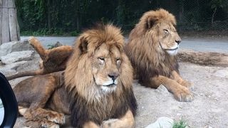 暑くても雨でも楽しめる！！