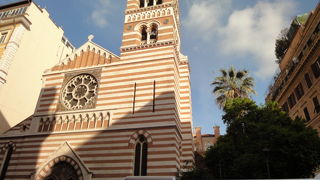 独特の縞模様が目じるし