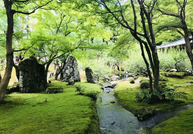 しょうざん庭園 クチコミ アクセス 営業時間 今出川 北大路 北野 フォートラベル