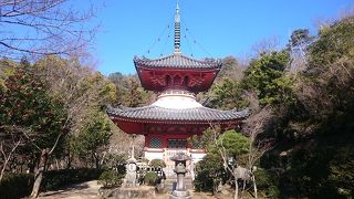 閑静なお寺で癒されます