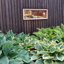 ショップがチラリ