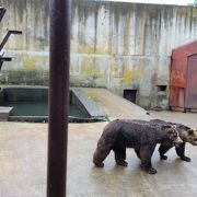 クマ牧場があります