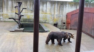 クマ牧場があります