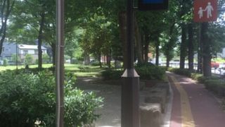 北と南に分かれた公園