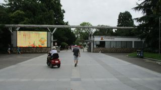 夏の上海中山公園2018