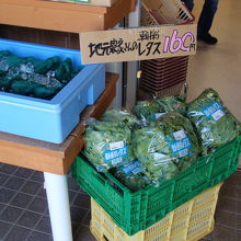 地域の野菜も売られていました。